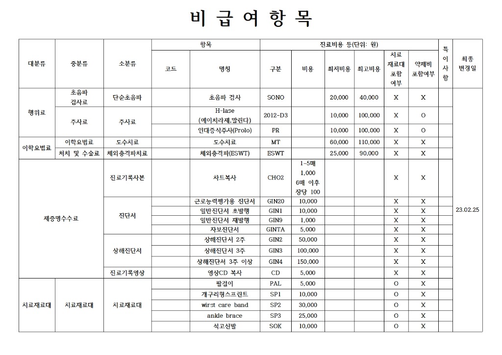 비급여 진료비 항목표